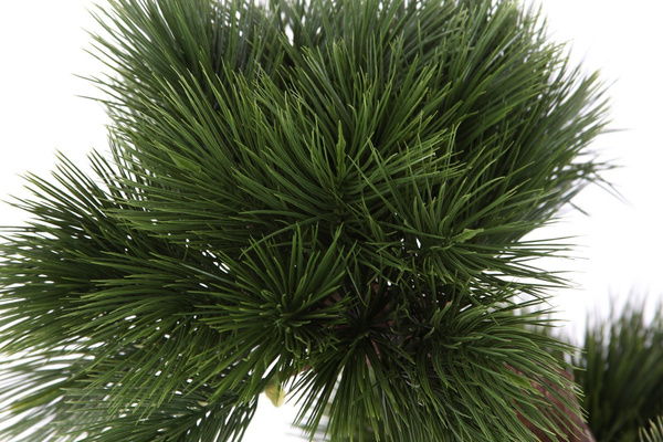 Sztuczne drzewko Bonsai Sosna Pinia 70 cm