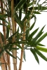 Sztuczny Bambus Royal 165 cm
