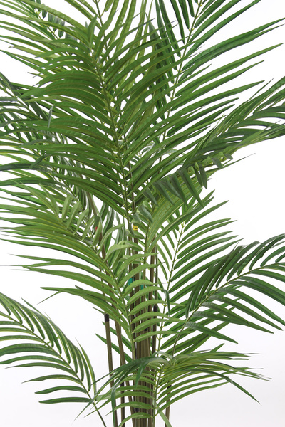 Sztuczna palma Areka 180 cm
