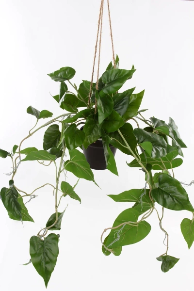 Sztuczny Filodendron Scandens wiszący 80 cm w doniczce
