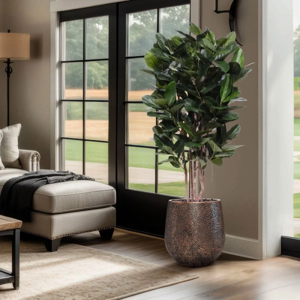 Sztuczny Fikus Audrey na drewnianych pniach 155 cm deluxe