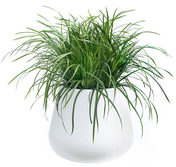 Pure Cone 45/36 Elho donica okragła biała