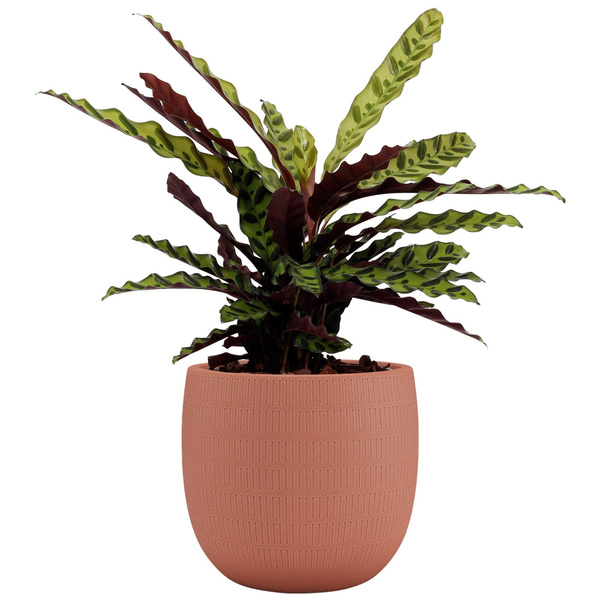 AURA 16/14 doniczka ceramiczna z teksturą terakota