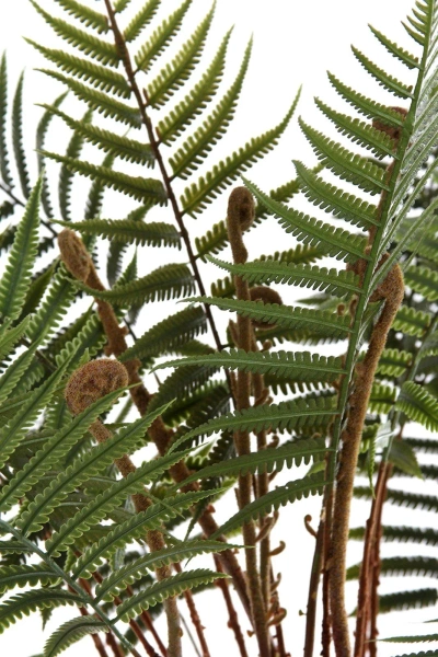 Sztuczna paproć Dicksonia 125 cm