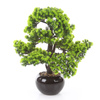 Sztuczne drzewko Bonsai Modrzew Larch 60x50 cm w ceramicznej doniczce