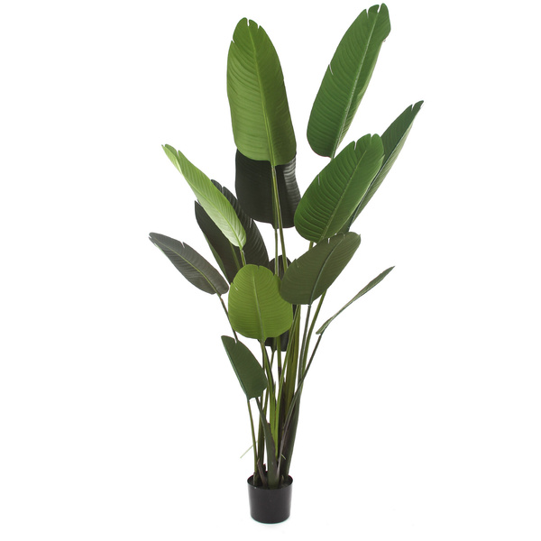 Sztuczna strelicja 120 i 190 cm - zestaw