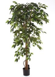 Sztuczny Fikus 180 cm d100 cm zielony