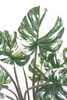Sztuczna Monstera Variegata dziurawa biała 60 cm