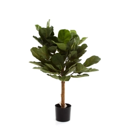 Sztuczny Fikus Dębolistny Lyrata 75 cm deluxe