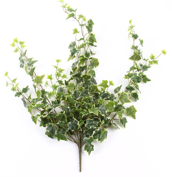 Sztuczny Bluszcz zielono-biały pnącze busz 100 cm