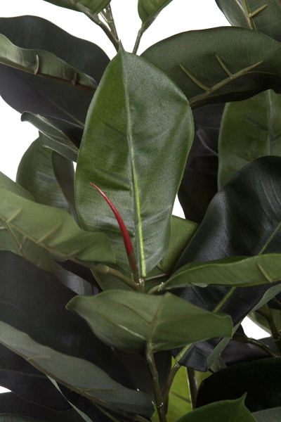 Sztuczny Fikus Elastica Robusta 170 cm