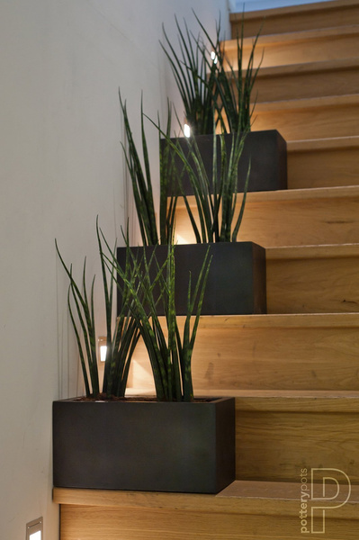 Balcony XL 80x20/20 długa donica prostokątna czarna