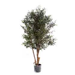 Sztuczna Oliwka 150 cm drewniany rozgałęziony pień