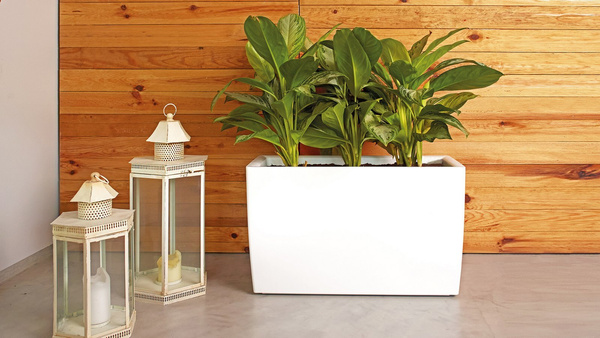 MARBELLA 76x31/45 donica prostokątna na kółkach grafitowa z połyskiem