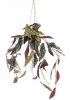 Sztuczna Begonia Maculata wisząca 80 cm w doniczce