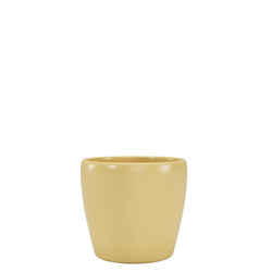 NUBIA 8 mała osłonka na kaktusy żółty wiosenny