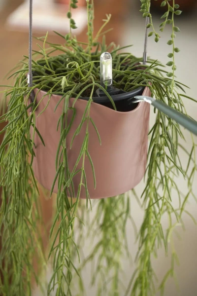 B. For Swing 18/16 różowa osłonka wisząca