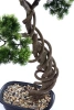 Sztuczny Bonsai Sosna Pinia 90 cm