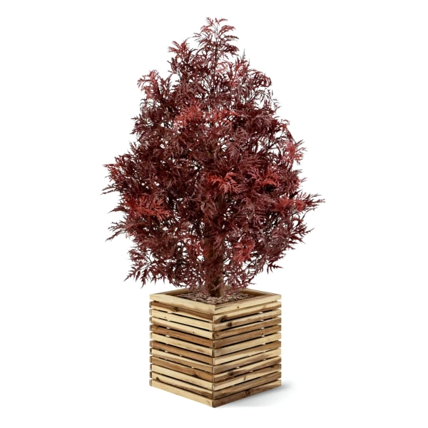 Sztuczna Aralia Ming 90 cm burgund UV