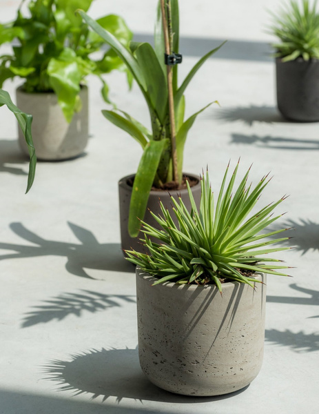 Charlie XS 12/11,5 szara doniczka walec kamienna