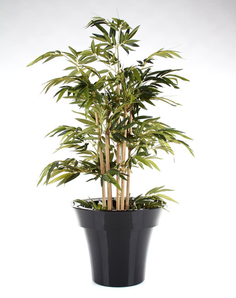 MISIA 60/48 donica okrągła czarna lakierowana