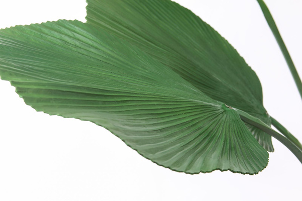 Sztuczna Licuala palma 130 cm duże liście