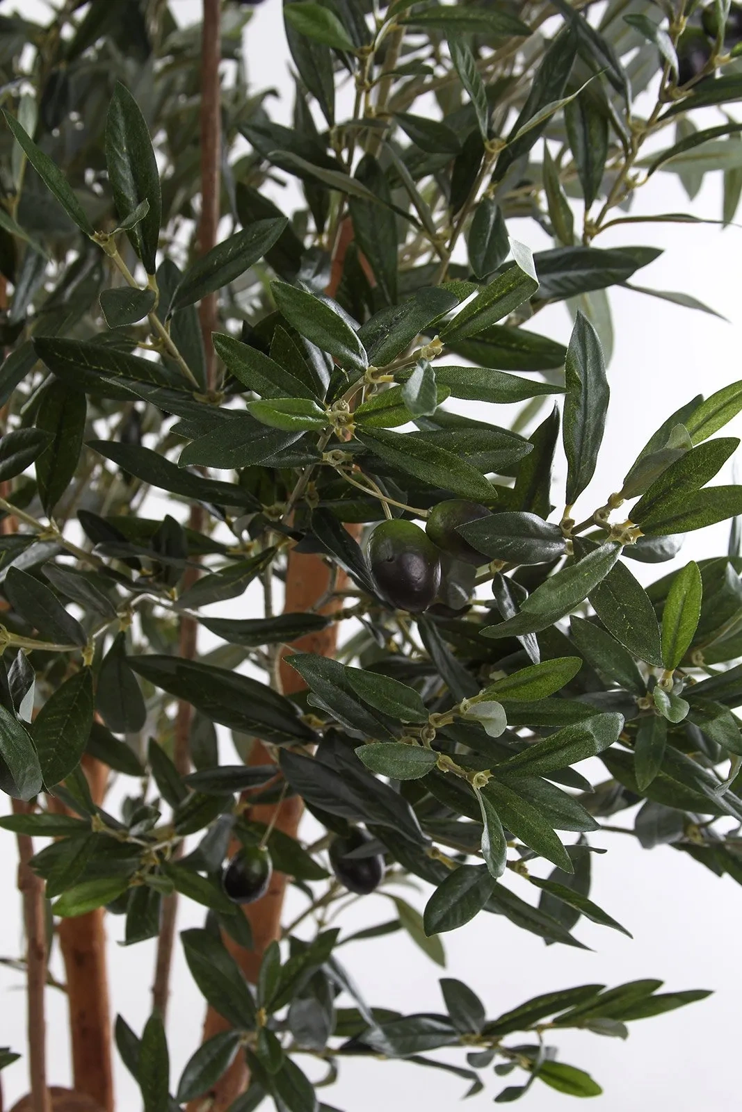 sztuczne liście oliwki jak naturalne