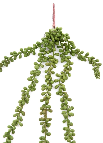 Sztuczny Rozchodnik Sedum pnącze 65 cm