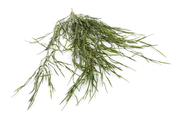 Sztuczna Wierzba pnącze 86 cm