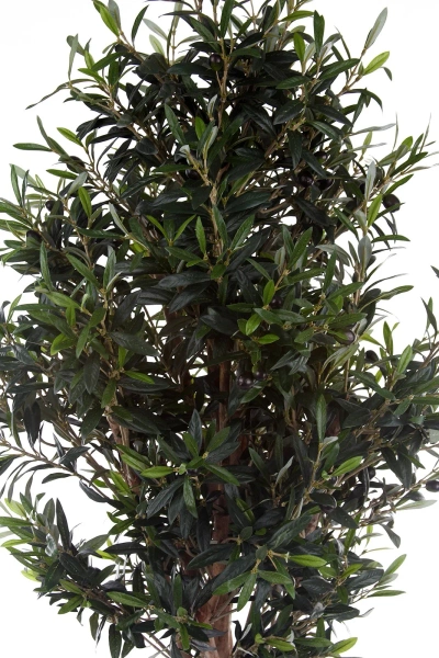 Sztuczne drzewko Oliwne 150 cm z owocami