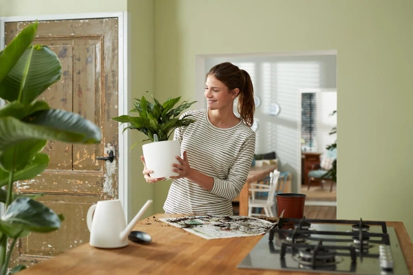 System nawadniający do roślin w ziemi 33/31 cm Elho uniwersalny