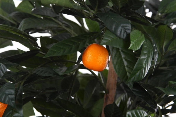 Sztuczne drzewko Mandarynkowe 140 cm cytrusy