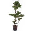 Sztuczne drzewko wysokie Bonsai Modrzew Larch 155 cm
