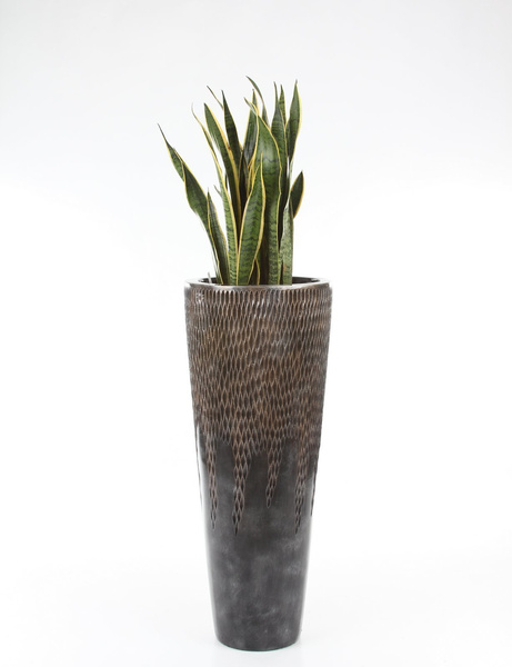 UNIVERSE COMET STRAIGHT 38/110 wysoka donica ręcznie zdobiona brązowa