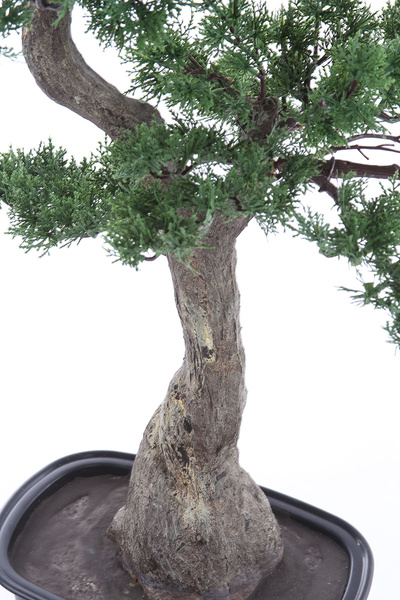 Sztuczny Bonsai Pinia 80x110 cm