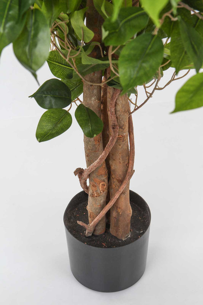 Sztuczne drzewko Fikus Benjamina 120 cm na naturalnym drewnianym pniu