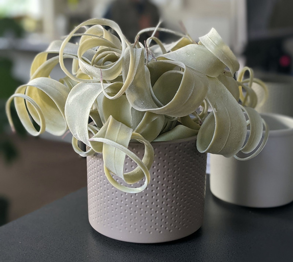 Era 10/9 doniczka ceramiczna cylindryczna taupe wytłaczana