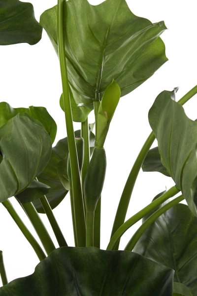 Sztuczna Alokazja Calidora 125 cm deluxe