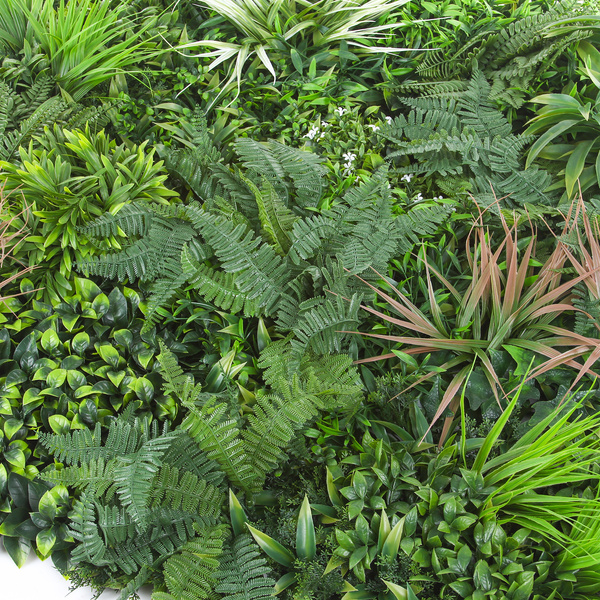 Mata Zielona Ściana panel z liści PREMIUM 100x100 cm