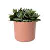 B. For Soft Round 18 różowa osłonka cylinder delicate pink