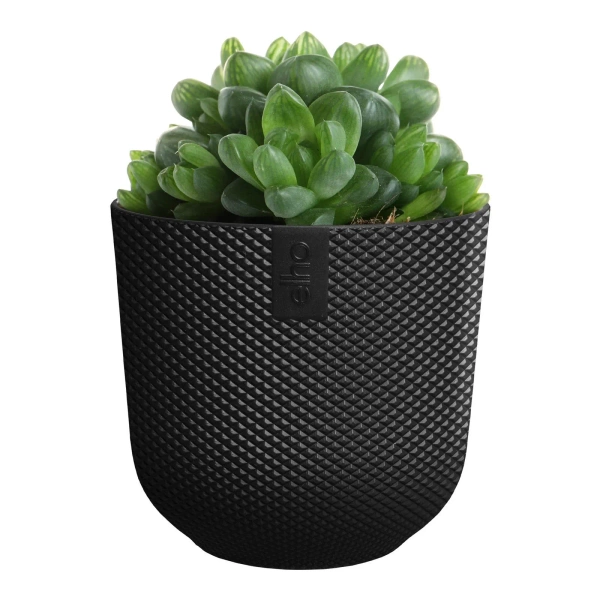 Jazz Elho 11 osłonka w kropki czarna