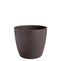brązowy / espresso brown