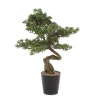 Sztuczny Bonsai Podocarpus 90x60 cm