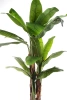 Sztuczny Bananowiec 180-200 cm