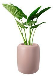 Elho Pure Beads Medium 39/48 donica cylindryczna różowa koralik