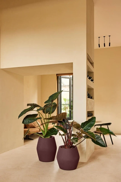 June Split High 46/53 wysoka osłonka śliwkowa vintage plum