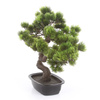 Sztuczne drzewko Bonsai Sosna Pinia 40 cm w doniczce