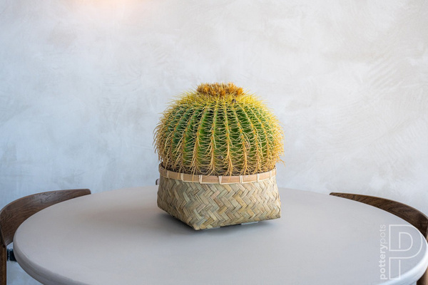 Nala Low XL 63/27 duża płaska donica z bambusa i cementu