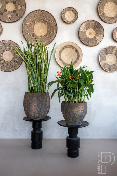 Gillard S 45/45 kulista osłonka brązowa naturalna ostryga oyster