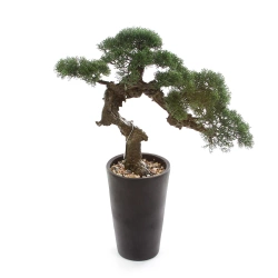 Sztuczny Bonsai Cedr 80 cm UV